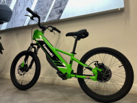 KAWASAKI Elektrode 20 draisienne électrique 