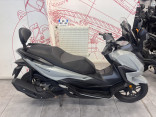 HONDA NSS FORZA 125 - GARANTIE CONSTRUCTEUR - 75€/MOIS