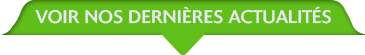 voir actualités